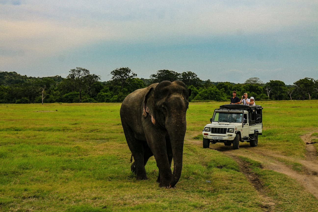 Adventure