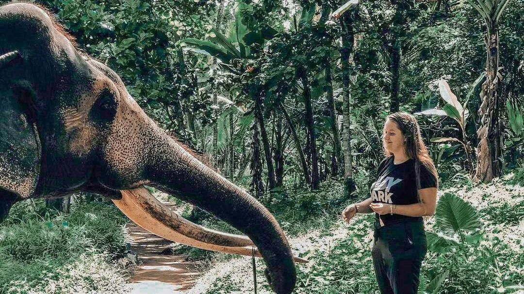 Elephant Foundation